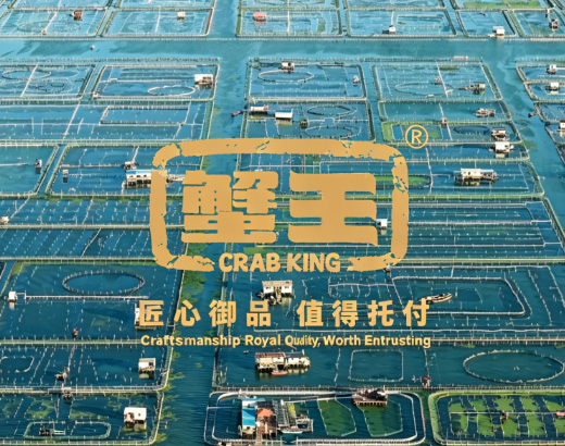 关于蟹王
