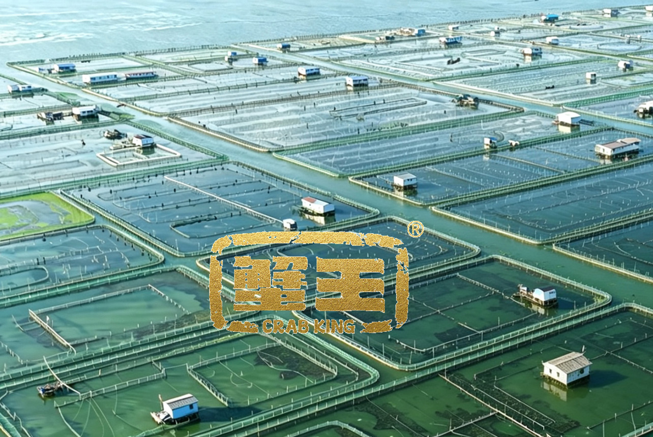 品牌礼盒视觉